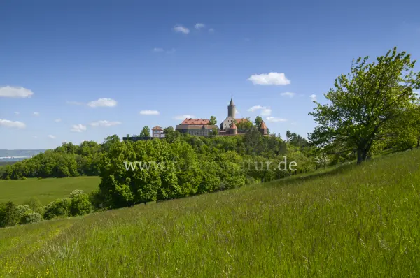 Fokus-Natur Bild