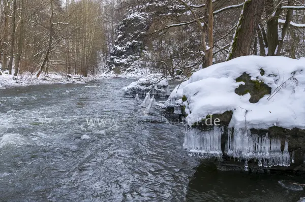 Fokus-Natur Bild