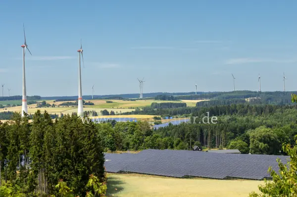 Fokus-Natur Bild