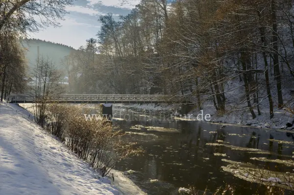 Fokus-Natur Bild