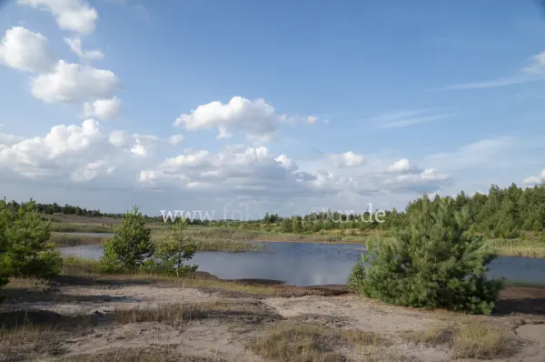 Fokus-Natur Bild