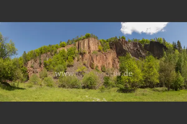 Fokus-Natur Bild