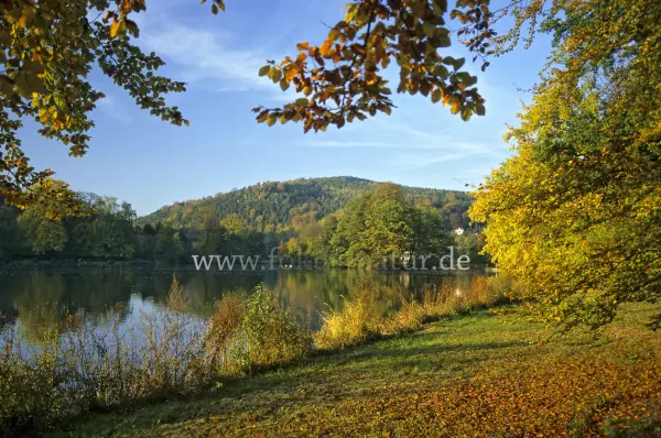 Fokus-Natur Bild