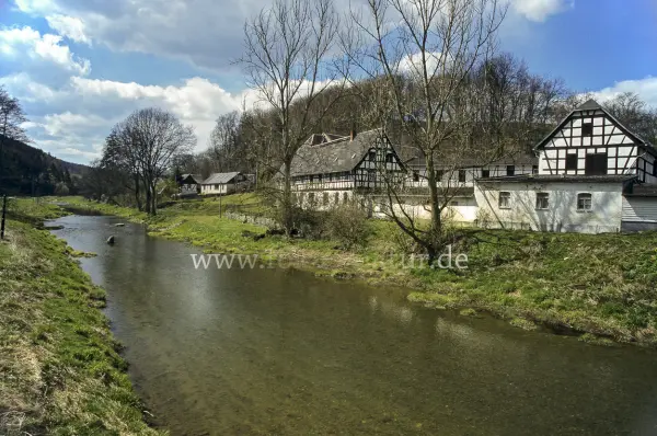 Fokus-Natur Bild