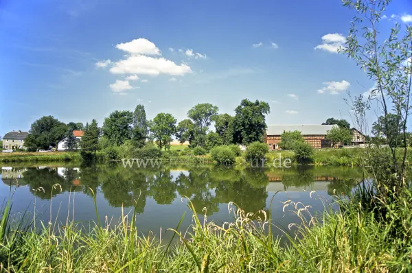 Fokus-Natur Bild