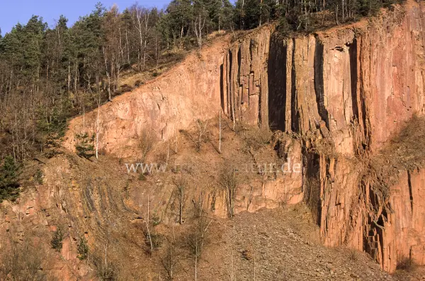 Fokus-Natur Bild