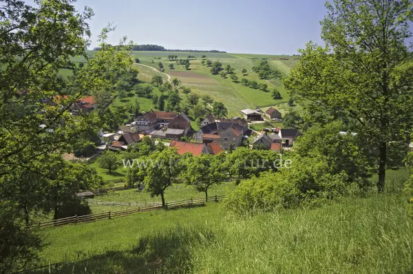 Fokus-Natur Bild