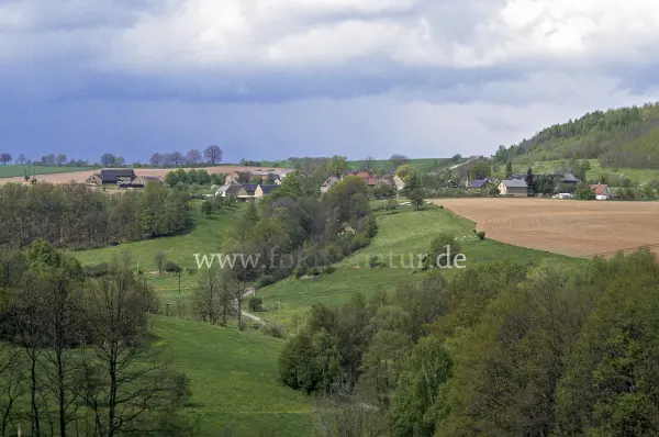 Fokus-Natur Bild