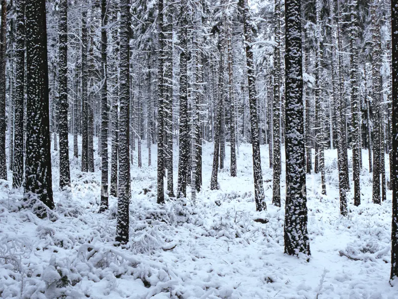 6789