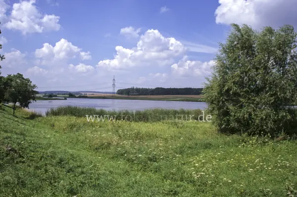 Fokus-Natur Bild