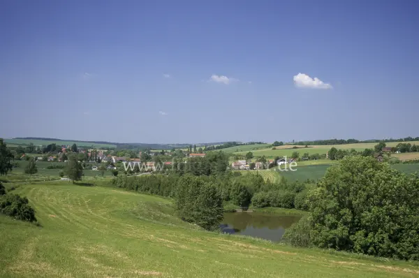 Fokus-Natur Bild