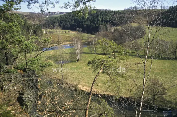 Fokus-Natur Bild