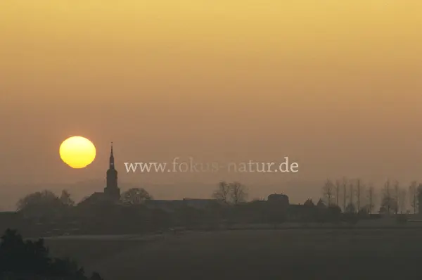 Fokus-Natur Bild