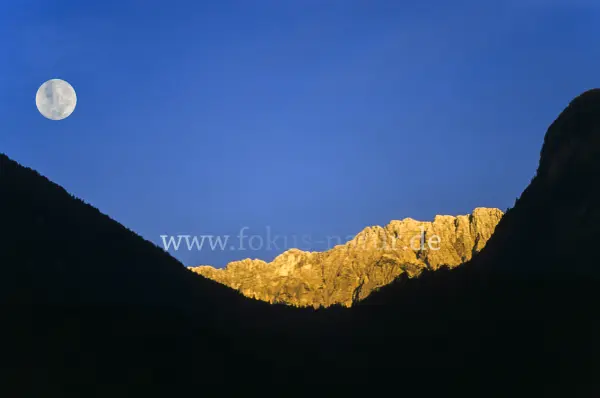 Fokus-Natur Bild