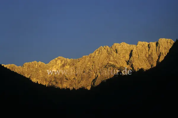 Fokus-Natur Bild