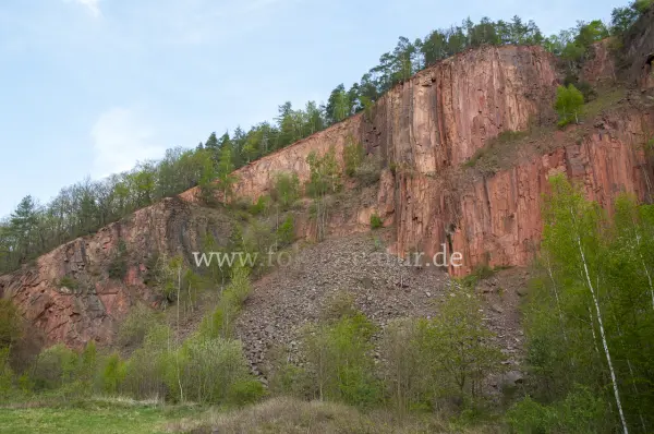 Fokus-Natur Bild