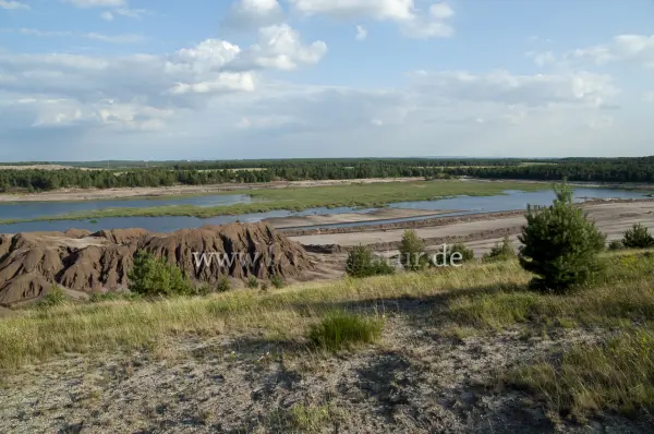 Fokus-Natur Bild