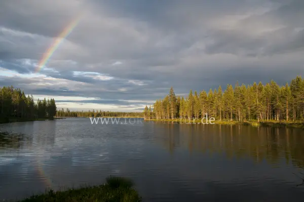 Fokus-Natur Bild