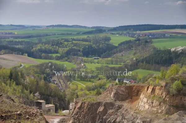 Fokus-Natur Bild