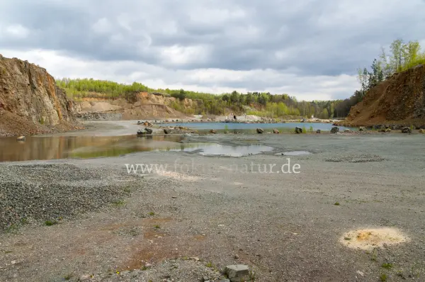 Fokus-Natur Bild