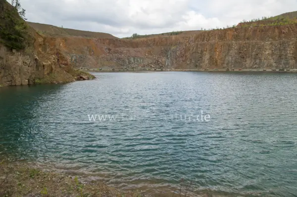 Fokus-Natur Bild