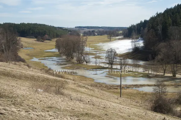 Fokus-Natur Bild