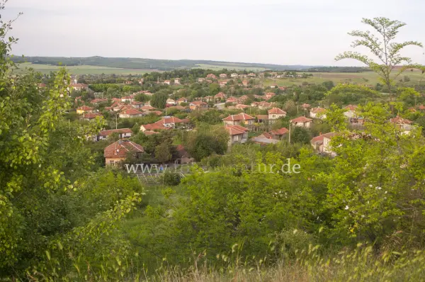 Fokus-Natur Bild