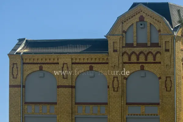 Fokus-Natur Bild