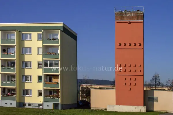 Fokus-Natur Bild