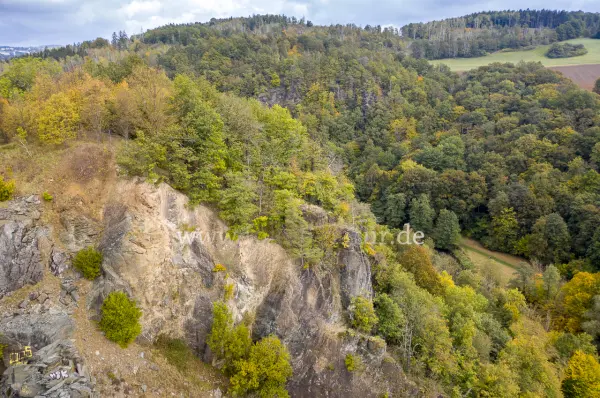 Fokus-Natur Bild
